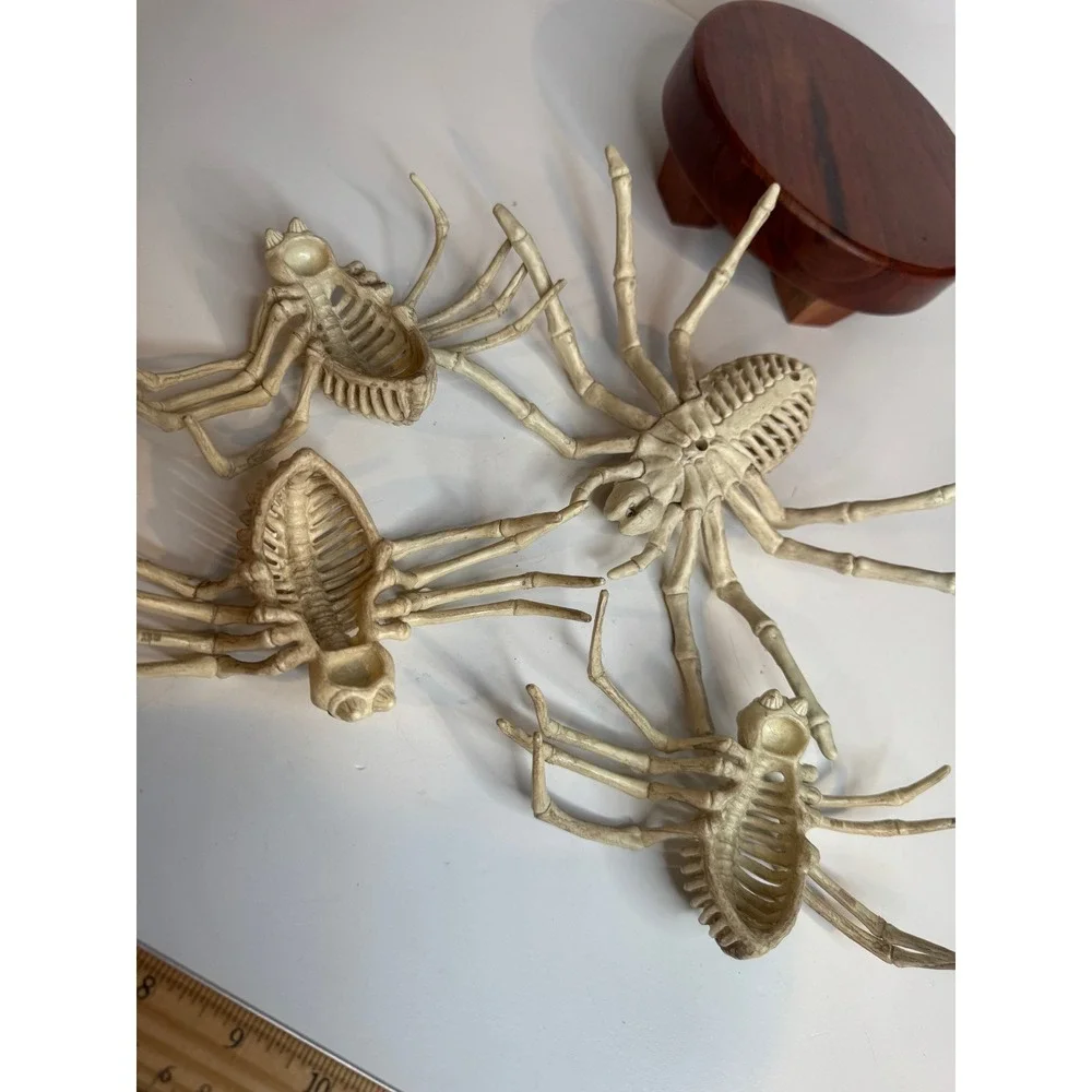 Halloween Skeleton‎ Spider Lot of 4 Creepy Skeleton Spiders Spooky Decor